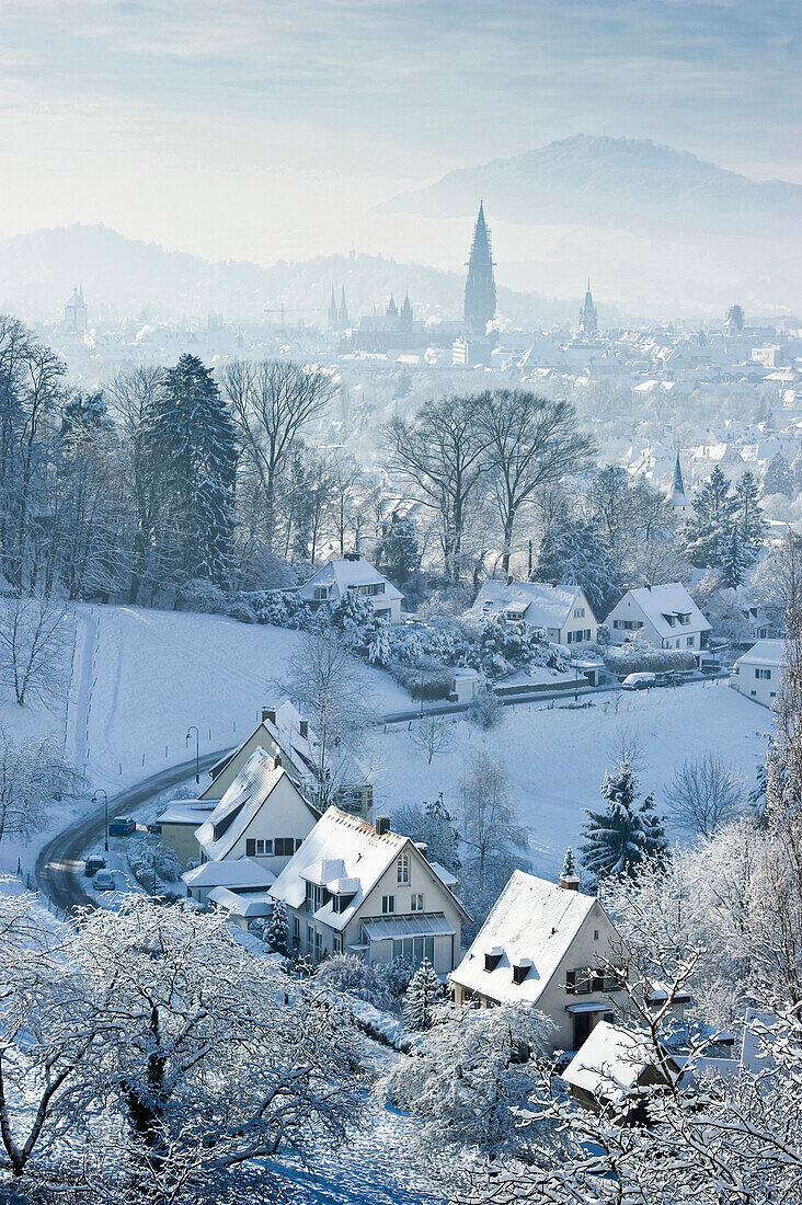 Stadtansicht im Winter, Freiburg im Breisgau, Schwarzwald, Baden-Württemberg, Deutschland