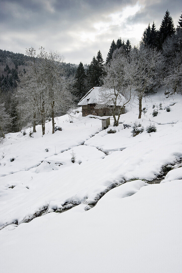 Snow-covered hut, Geiersnest, Bollschweil, Black Forest, Baden-Wurttemberg, Germany