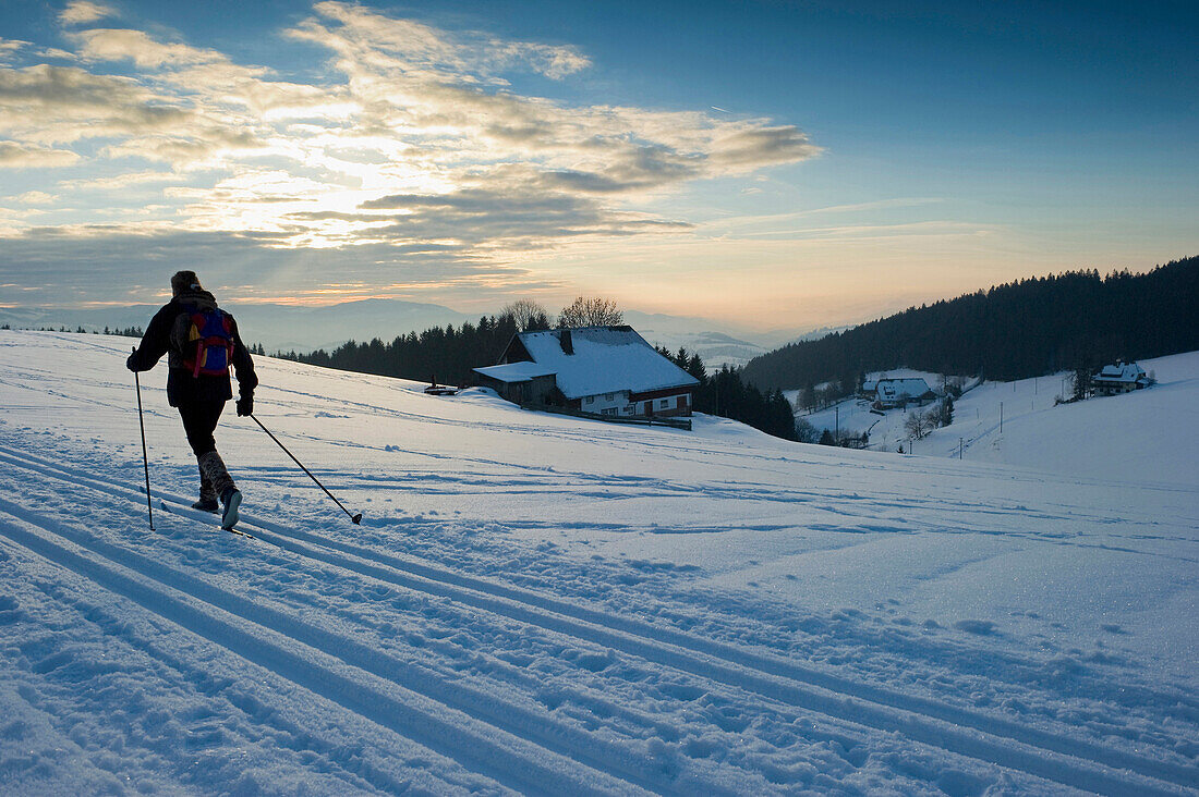 Langläufer im Sonnenuntergang, St. Peter, Schwarzwald, Baden-Württemberg, Deutschland