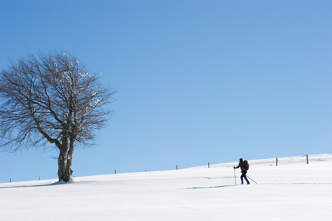 Cross-country skiing at mount Schauinsland, Freiburg im Breisgau, Black Forest, Baden-Wurttemberg, Germany