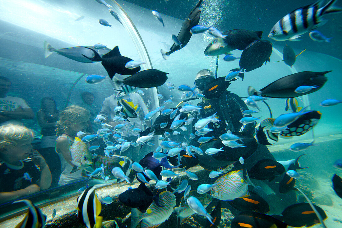 Visitors and fish at Reef HQ Aquarium, Townsville, Queensland, Australia