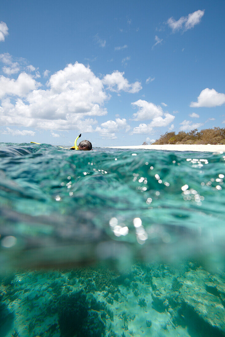 Diver in front of Wilson Island, part of the Capricornia Cays National Park, Great Barrier Reef Marine Park, UNESCO World Heritage Site, Queensland, Australia