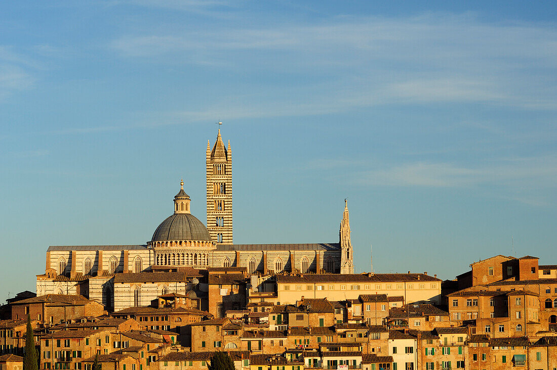 Dom von Siena erhebt sich über den Häusern der Stadt, Siena, UNESCO Weltkulturerbe Siena, Toskana, Italien