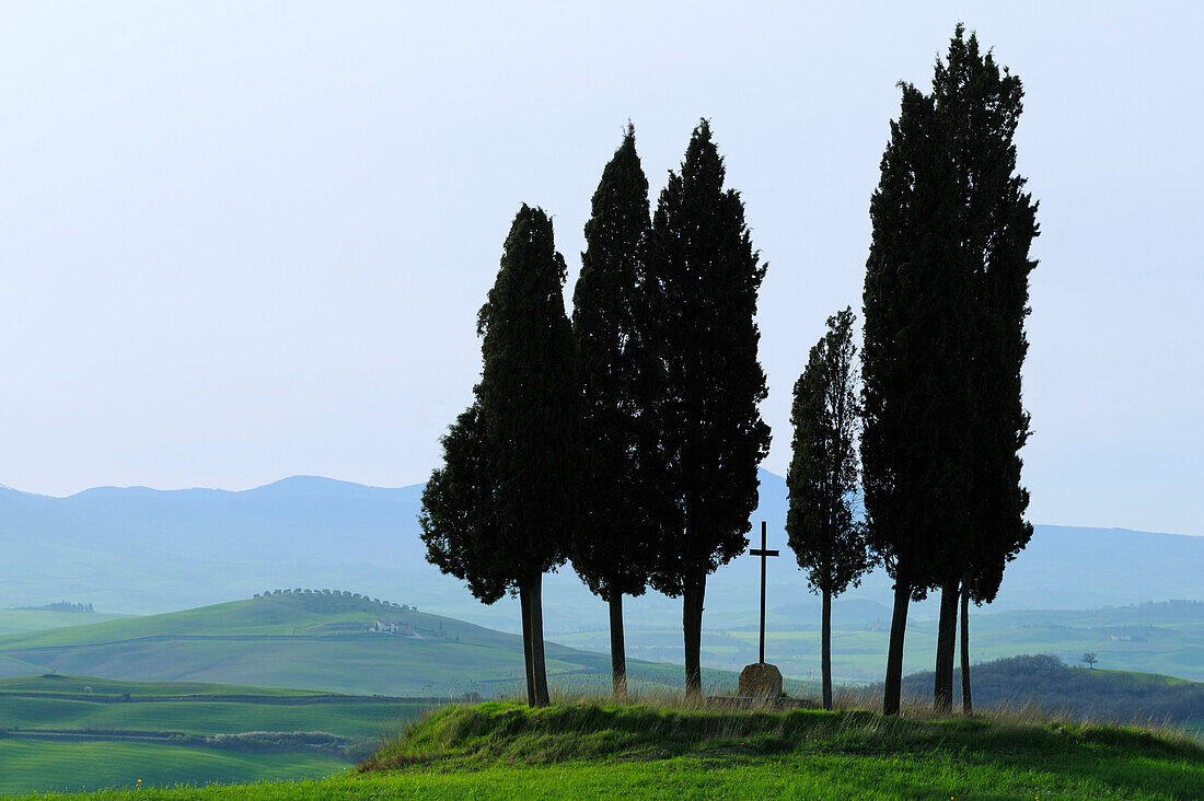 Wegkreuz mit Zypressen und Hügellandschaft im Hintergrund, Val d´Orcia, UNESCO Weltkulturerbe, Val d´Orcia, Toskana, Italien