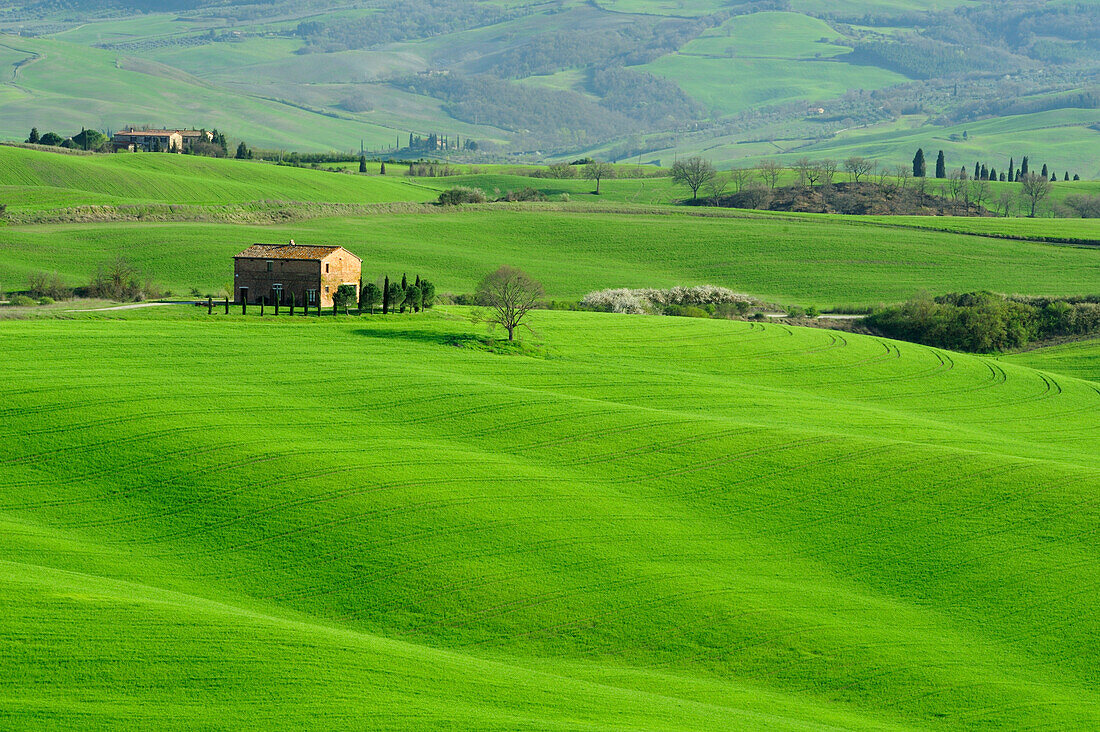Landhaus in welliger Wiesenlandschaft, Val d´Orcia, UNESCO Weltkulturerbe Val d´Orcia, Toskana, Italien
