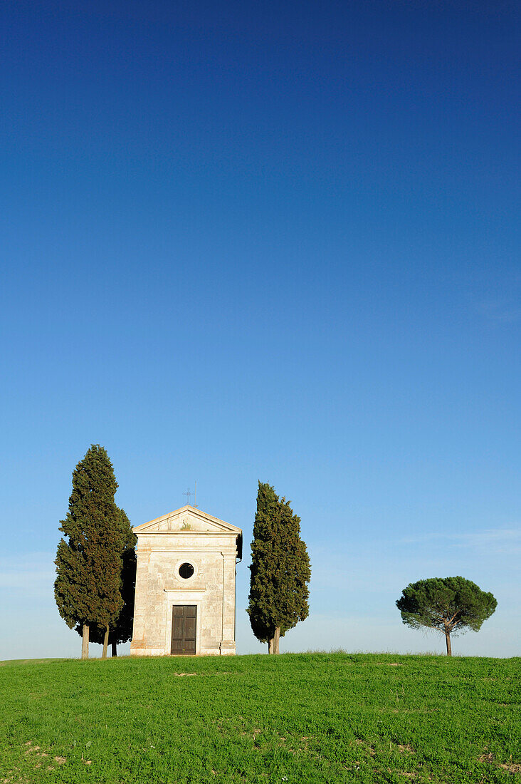 Chapel between cypress trees, Val d'Orcia, Tuscany, Italy