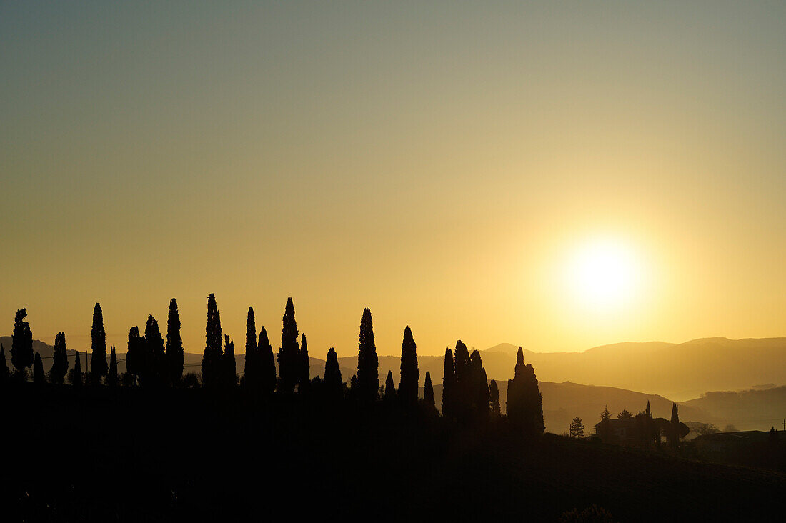 Zypressen vor untergehender Sonne, Val d´Orcia, UNESCO Weltkulturerbe Val d´Orcia, Toskana, Italien