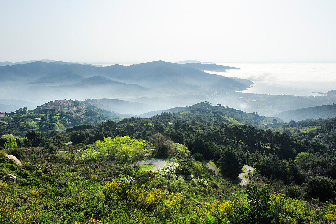 Hügellandschaft und Küste der Insel Elba, Blick auf San Ilario in Campo und die Bucht von Marina di Campo, Insel Elba, Mittelmeer, Toskana, Italien