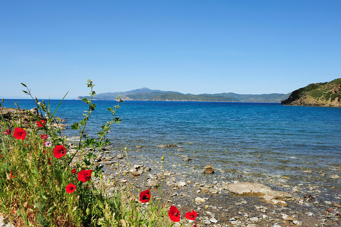 Mediterranean bay, Innamorata, Elba Island, Tuscany, Italy