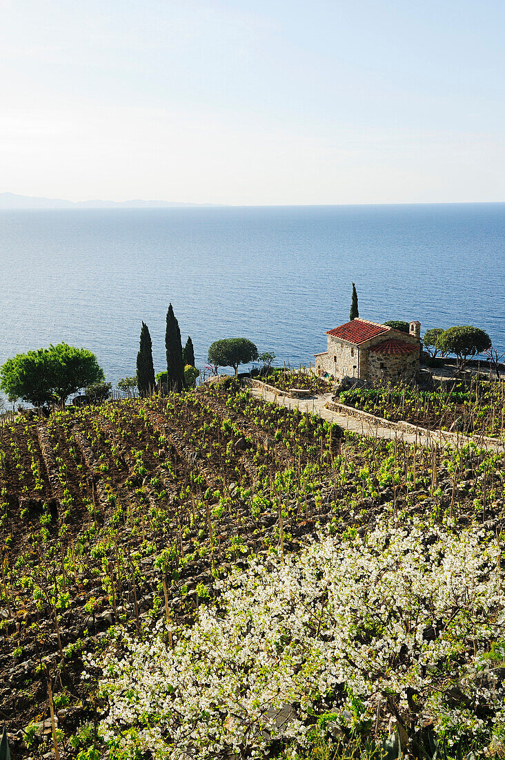 Manor at Mediterranean coast, near Pomonte, Elba Island, Tuscany, Italy