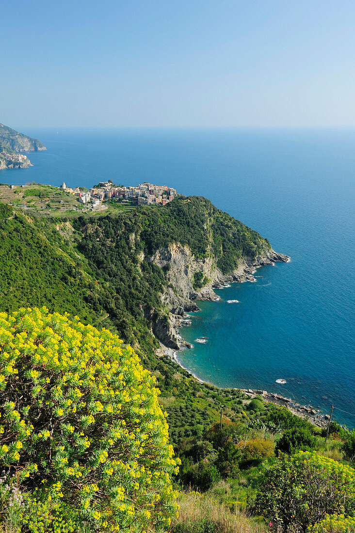 View to Corniglia, Cinque Terre, Liguria, Italy