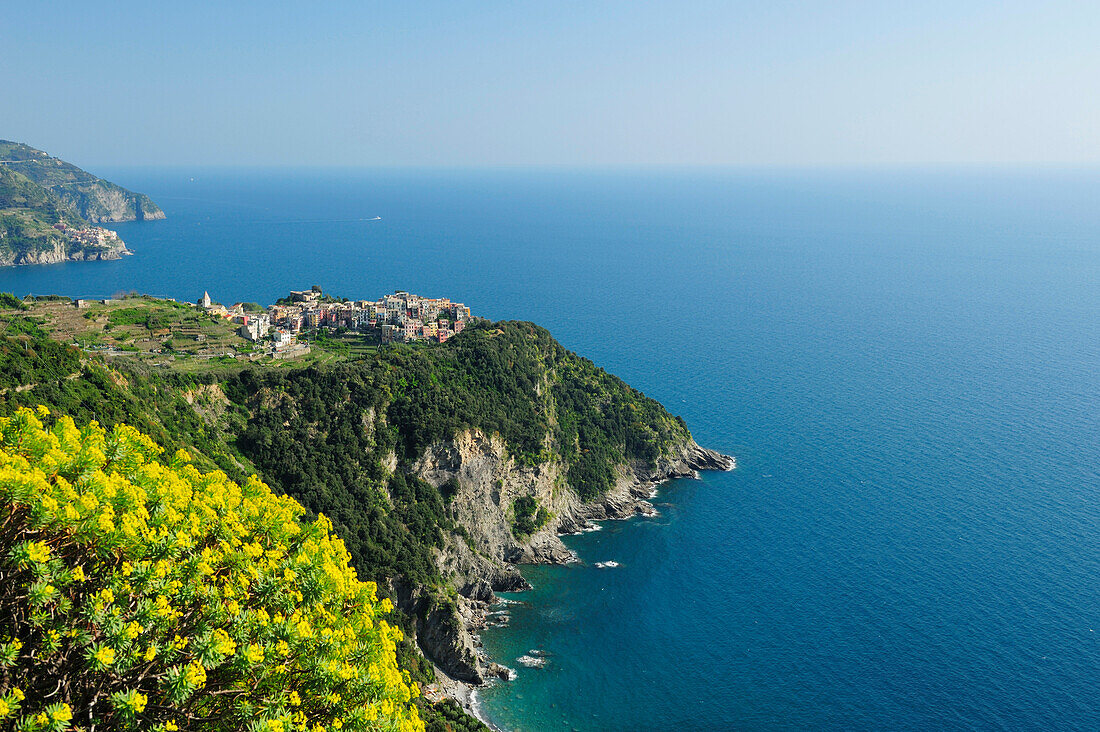 Blick auf Corniglia, Cinque Terre, Ligurien, Italien