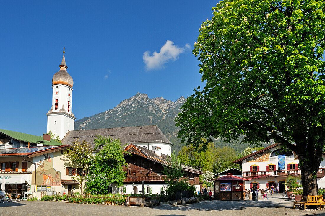 Main square of Garmisch with church and big chestnut tree, Garmisch-Partenkirchen, Wetterstein range, Werdenfels, Upper Bavaria, Bavaria, Germany, Europe