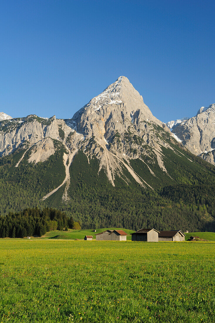 Ehrwalder Sonnenspitze über Talboden von Ehrwald, Ehrwald, Mieminger Berge, Tirol, Österreich, Europa