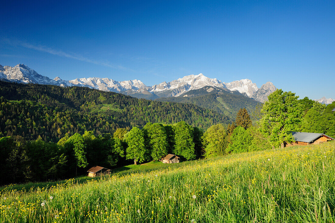 Meadow with flowers and hay sheds in front of Wettertein range with Hochwanner, Alpspitze, Zugspitze and Waxenstein, Garmisch-Partenkirchen, Wetterstein range, Werdenfels, Upper Bavaria, Bavaria, Germany, Europe