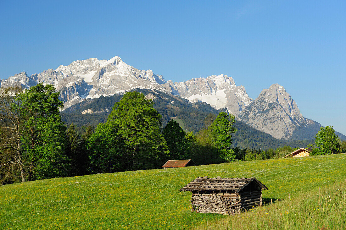 Meadow with flowers and hay sheds in front of Wettertein range with Alpspitze, Zugspitze and Waxenstein, Garmisch-Partenkirchen, Wetterstein range, Werdenfels, Upper Bavaria, Bavaria, Germany, Europe