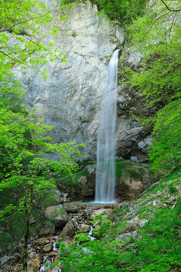 Wildensteiner Wasserfall fließt über Felsstufe, Wildensteiner Wasserfall, Karawanken, Kärnten, Österreich, Europa