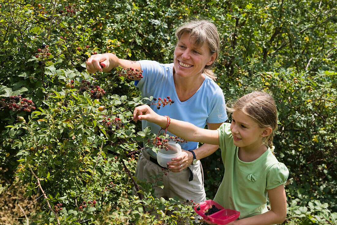 Mutter und Tochter pflücken Brombeeren, Bayern, Deutschland