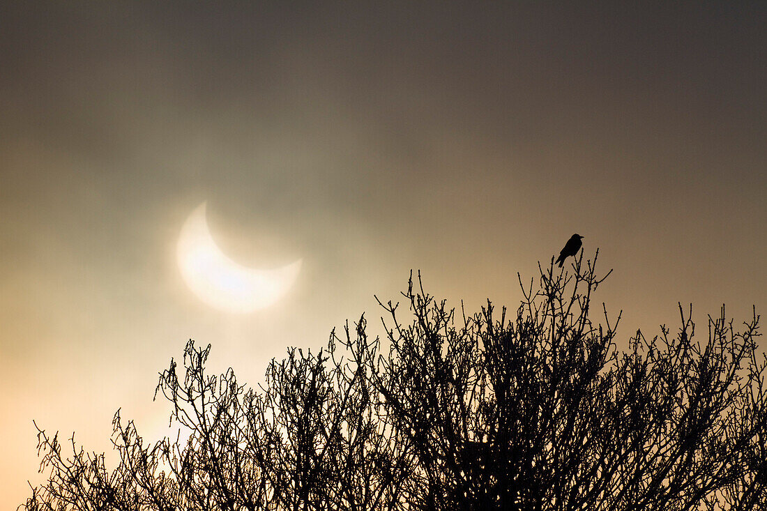 Partielle Sonnenfinsternis (04.01.2011), Penzberg, Oberbayern, Deutschland