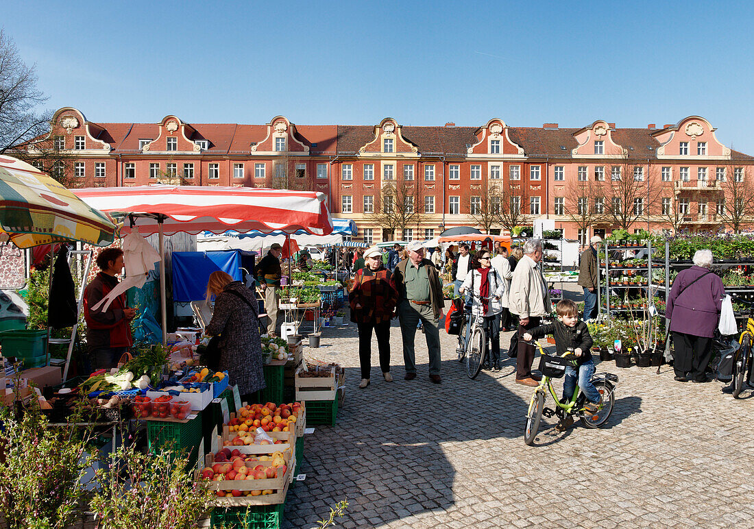 People at farmer's market, Bassinplatz, Potsdam, Brandenburg, Germany, Europe