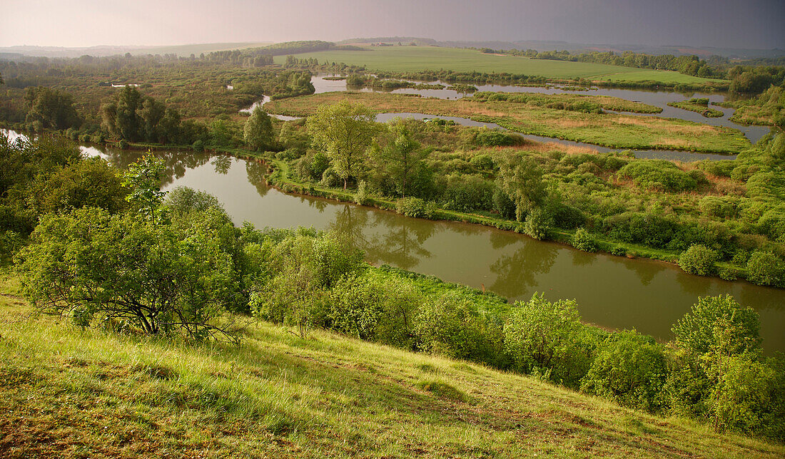 Blick auf Teich- und Sumpflandschaft sowie den Canal de la Somme vom Belvédère de Frise, Dept. Somme, Picardie, Frankreich, Europa