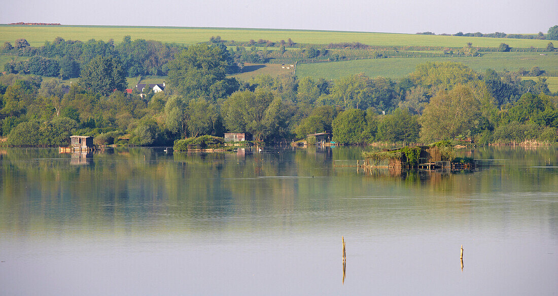 Blick auf Teich- und Sumpflandschaft entlang des Canal de la Somme, Dept. Somme, Picardie, Frankreich, Europa