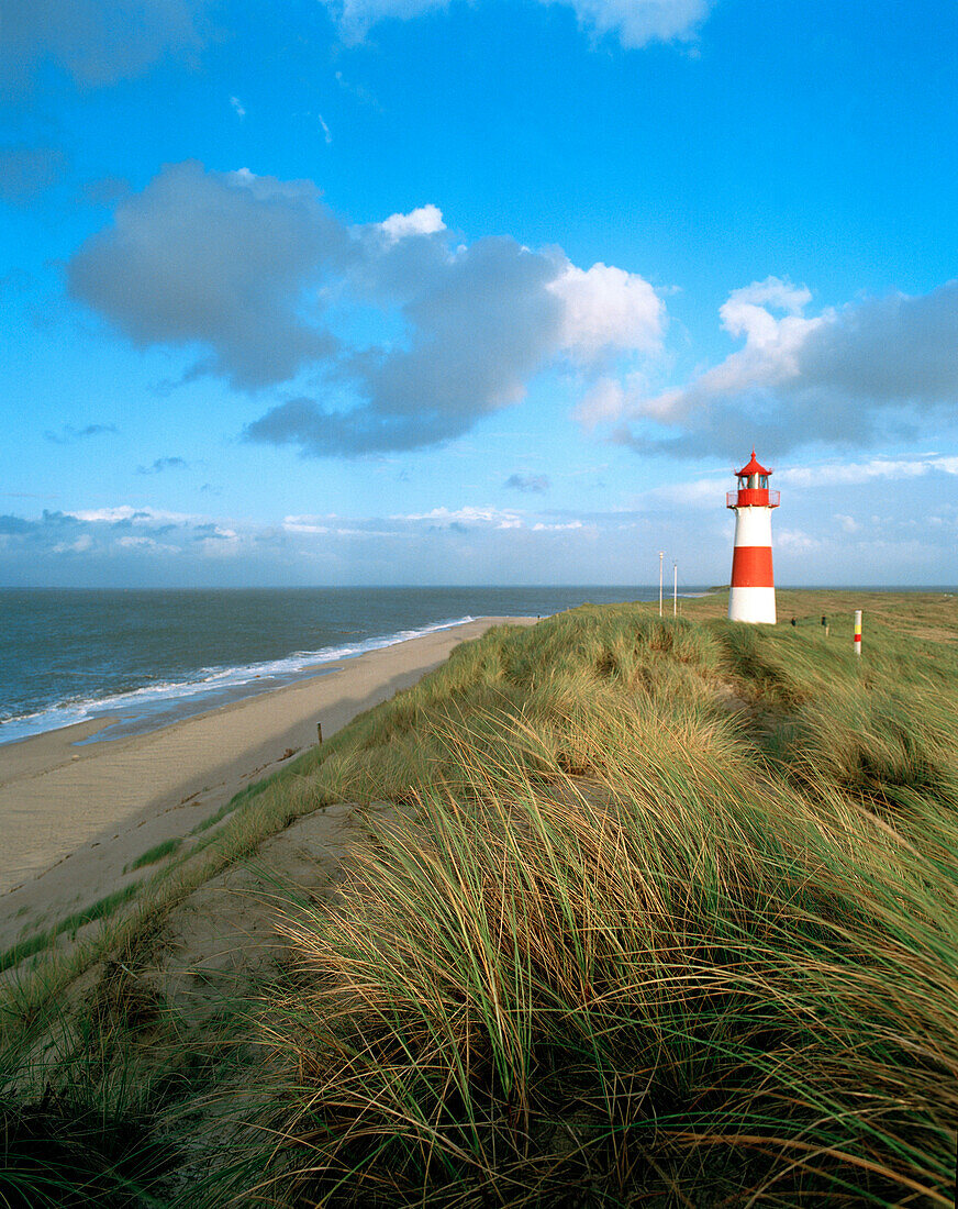 Lighthouse in the dunes, Ellenbogen, List, Sylt island, Schleswig-Holstein, Germany