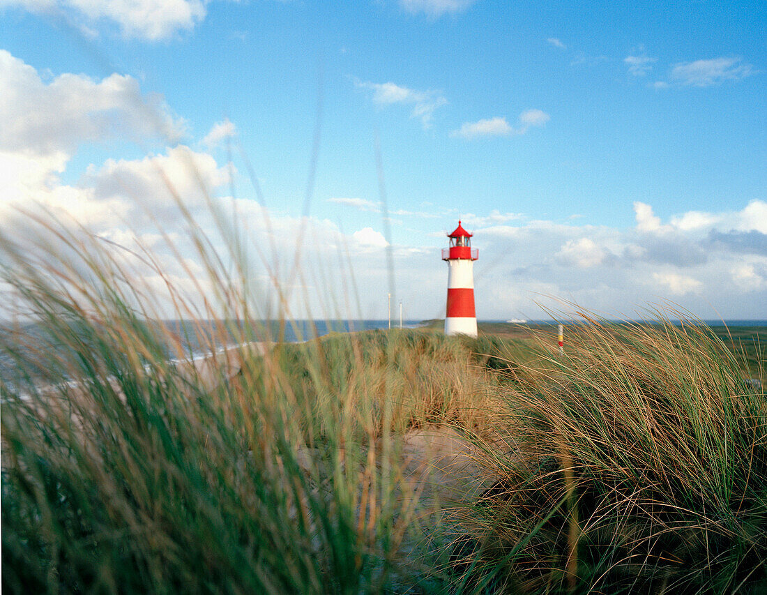 Leuchtturm in den Dünen, Ellenbogen, List, Insel Sylt, Schleswig-Holstein, Deutschland