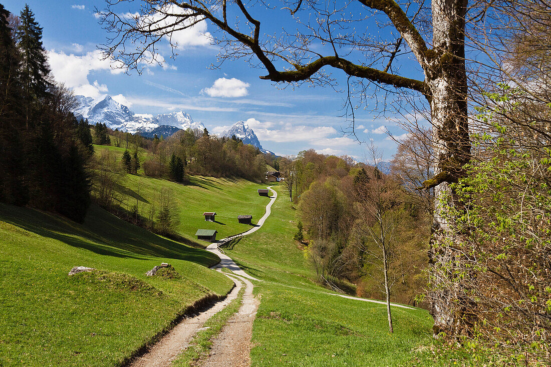 Weg nach Wamberg, Wettersteingebirge mit Alpspitze, Zugspitze und Waxenstein im Hintergrund, Werdenfelser Land, Oberbayern, Deutschland