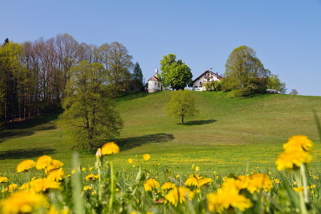 Bauernhof und Kapelle bei Antdorf, Oberbayern, Deutschland