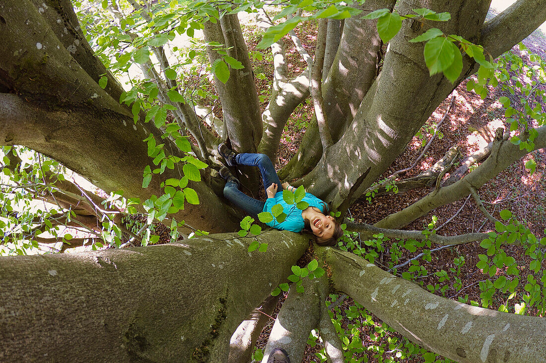 Girl 11 years lying in a beech tree, Upper Bavaria, Germany