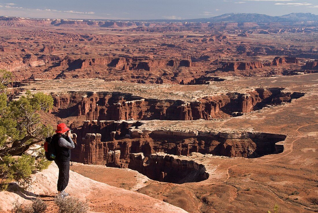 Tourist taking a photograph, Grand View Point Overlook, Canyonlands National Park, Utah, USA