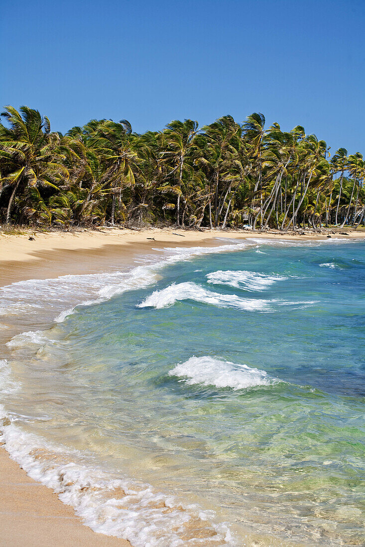 Beach near Garret Point, Little Corn Island, Corn Islands, Nicaragua