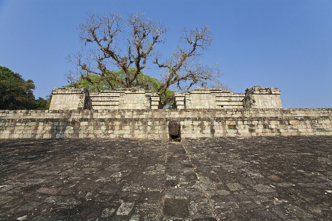 Ballcourt (AD 731), Great Plaza, Mayan ruins of Copan, Copan Ruinas, Honduras