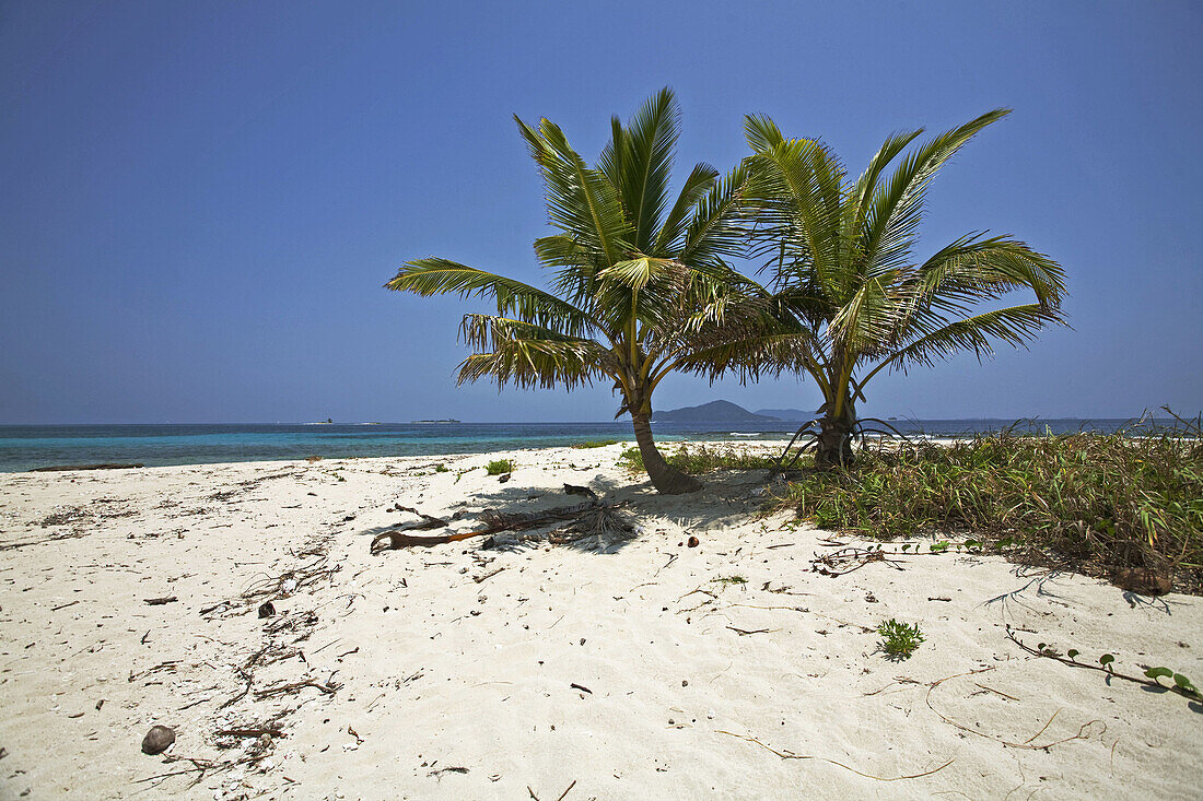 Bolanos Caye, Cochinos Cays, Bay Islands, Honduras