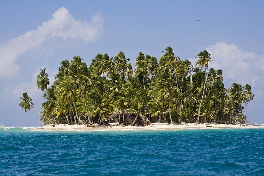 Pelican Island, San Blas Islands, Kuna Yala, Panama