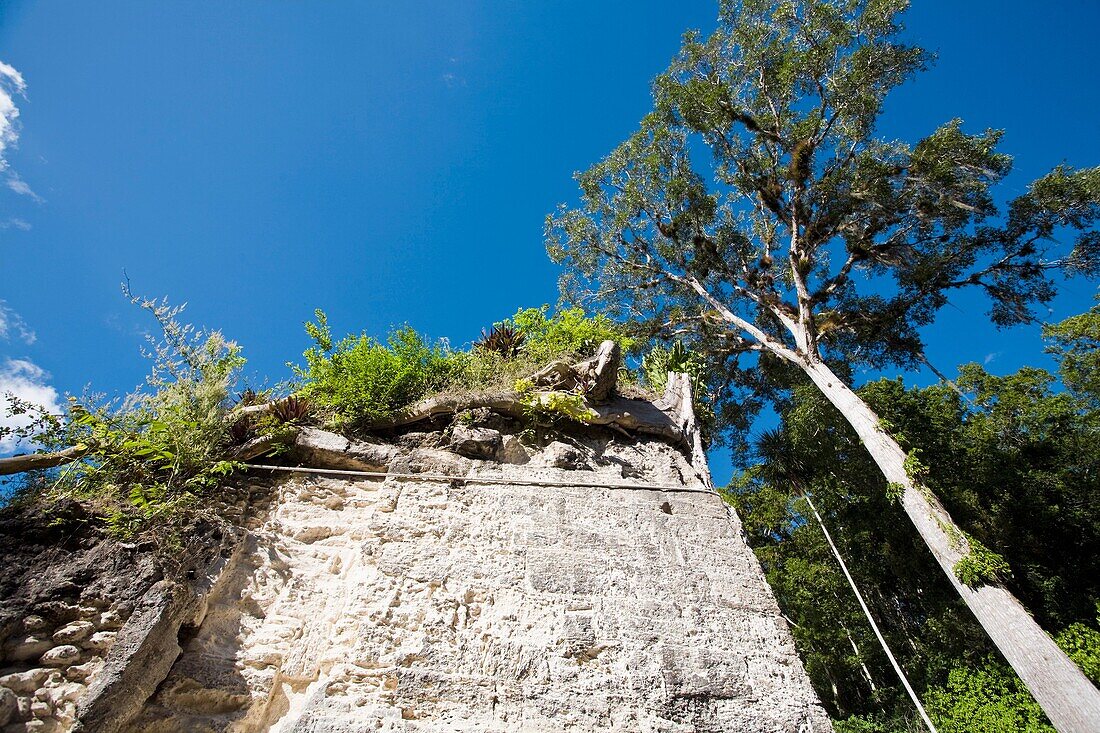 Plaza of the Seven Temples, Tikal, El Peten department, Guatemala