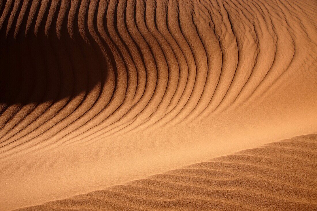 Sand dunes in desert, Wadi Tanezzouft, Ghat, Libia