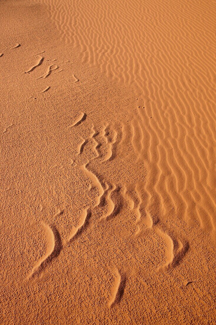 Sand Dunes in Idehan Murzuq, Idehan Murzuq, Ghat, Libia