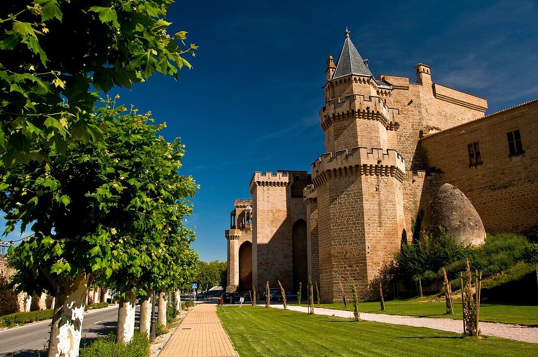 Kingdom Palace Olite medieval village Navarre Spain Europe