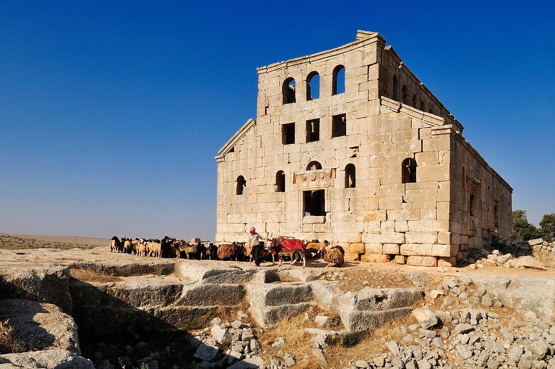 ruin of the byzantine church of Mshabak near Aleppo, Dead Cities, Syria, Middle East, West Asia
