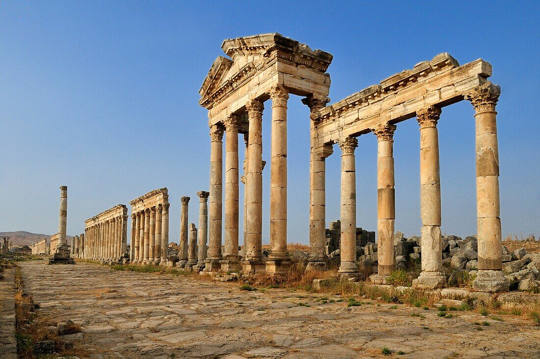 ruins at the roman archeological site of Apameia, Apamea, Qalaat al Mudiq, Syria, Middle East, West Asia