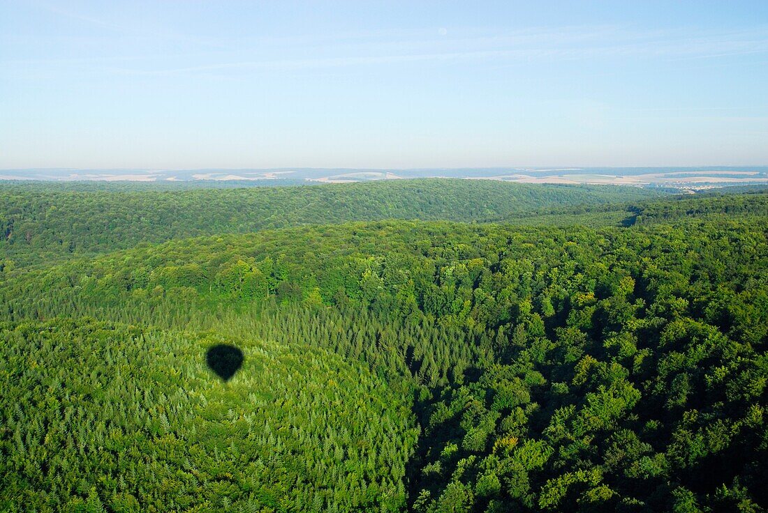 Aerial view ofMeuse slopes'forest. Lorraine region, France