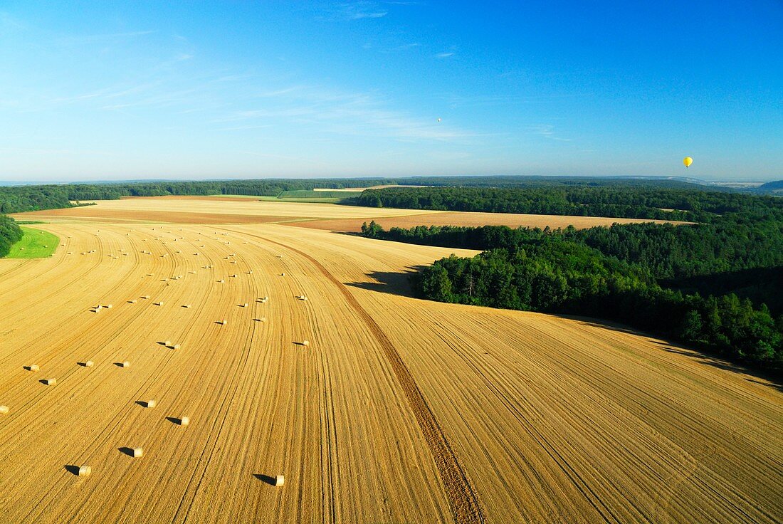 Aerial view of harvesting wheat field near Dommartin la Montagne. Meuse, Lorraine region, France