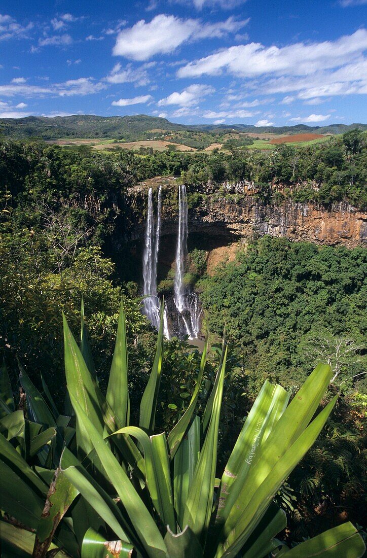 Waterfalls of Chamarel Black river district Mauritius Island Indian Ocean