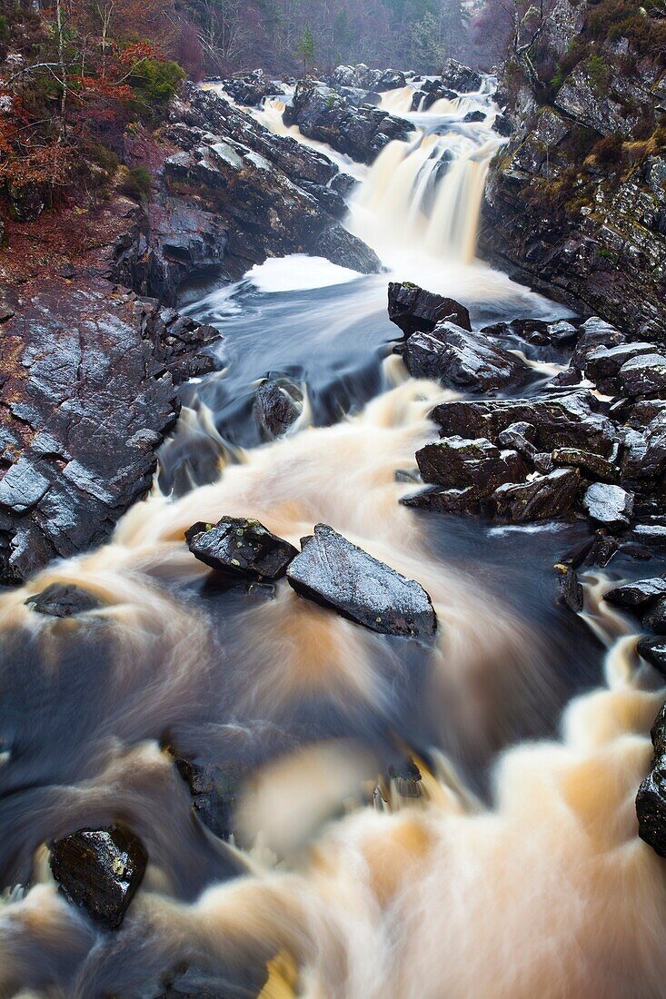 Scotland, Scottish Highlands, Rogie Waterfalls A cascade of Peat coloured water at Rogie Falls, near Contin