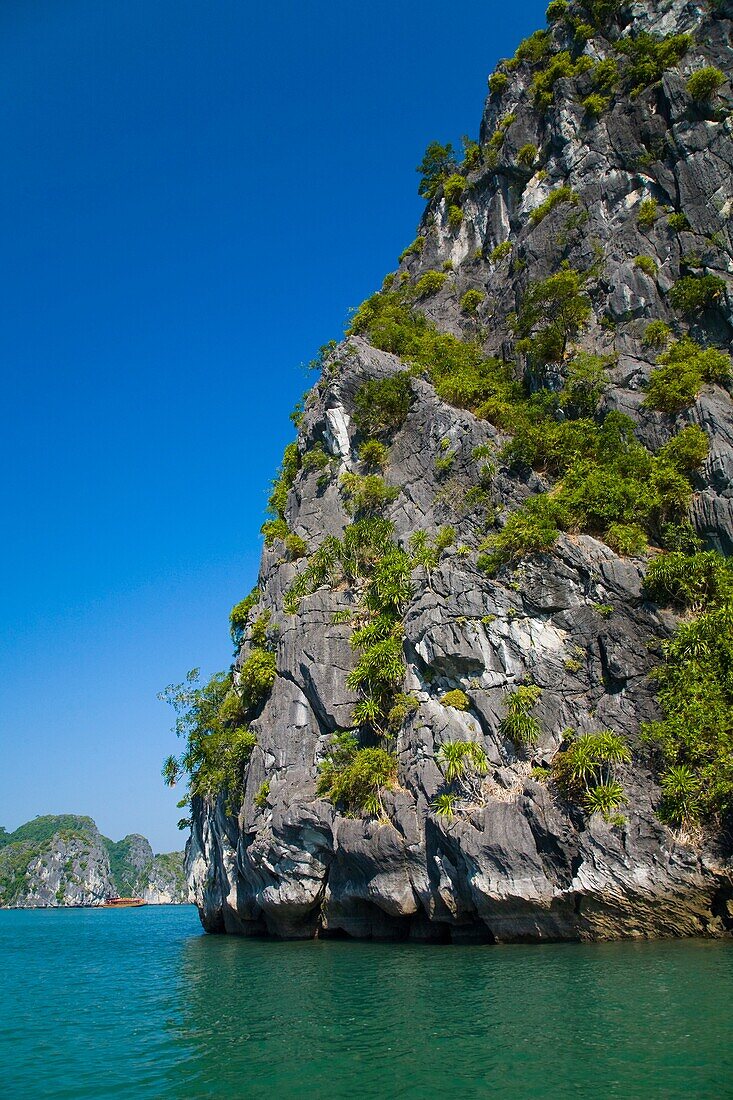 Vietnam, Northern Vietnam, Halong Bay Vegetation covered islands in Halong Bay near Cat Ba Island