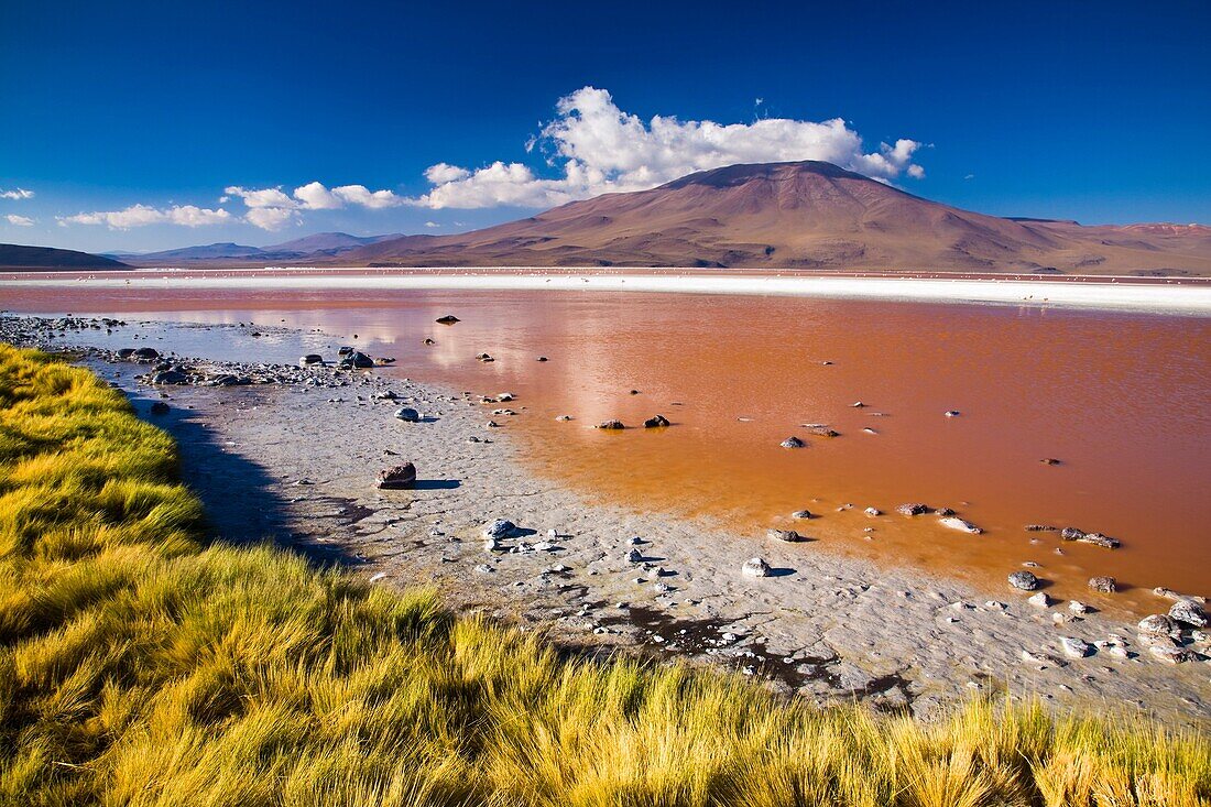 Bolivia, Southern Altiplano, Laguna Colorada The dramatic other world landscape of the Laguna Coloroda otherwise know as the coloured lake