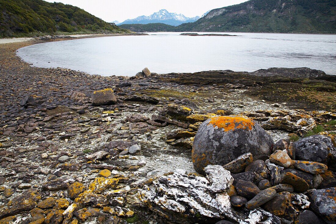 Argentina, Tierra Del Fuego, Tierra Del Fuego National Park The rocky shoreline of Lapataia Bay