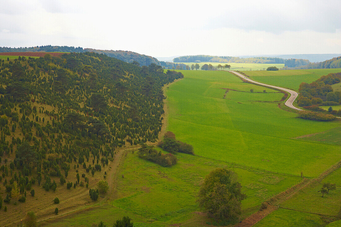 Kalvarienberg mit Wachholderheide, Alendorf, Eifel, Nordrhein-Westfalen, Deutschland, Europa